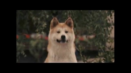 История за най - преданото куче на света ( филм по действителен случай )