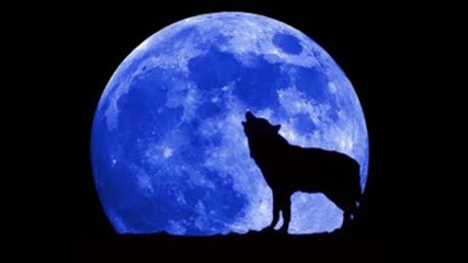 Bate pe60 ft. Tina - Wolf