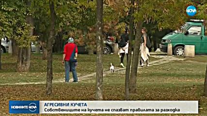 СЛЕД ИНЦИДЕНТА С ПИТБУЛ: Зачестяват проверките на собствениците на кучета