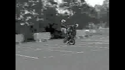 Brestunt 1 Trailer