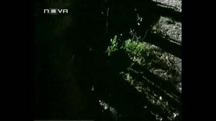 Аси - 40 епизод / 1ч. 