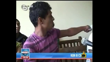 Gospodari na Efira - Kon na Lizing