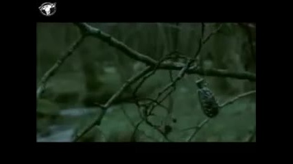 Highland - Se Tu Vuoi (2000)
