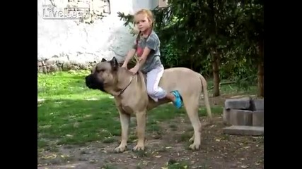 Mалко момиче си играе с голямо куче