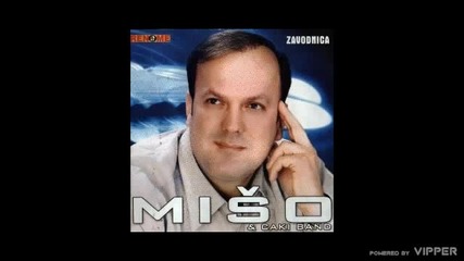 Milos Vujinovic Miso - Zavodnica - (audio 2010)