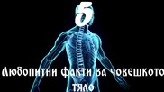 5 Любопитни факти за човешкото тяло
