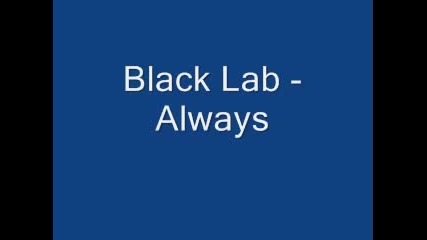 Black Lab - Always