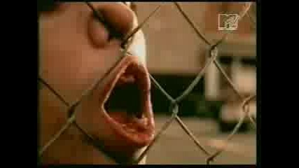 Crash Test Dummies - He Liked To Feel It