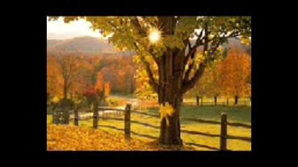 Tie a yellow ribbon round the old oak tree
