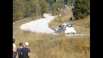 Рали България 2010 