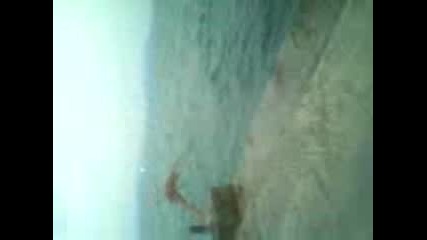burgas mosta