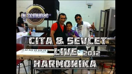 Cita Sevcet 2012 2013 Live Harmonika - Usti Daje - By Dj Zemunac