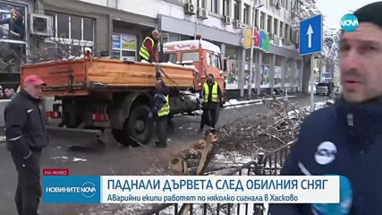 Няколко паднали дървета в Хасково заради обилния сняг