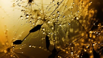 Woody van Eyden - Unfinished Symphony (arc In The Sky Remix)