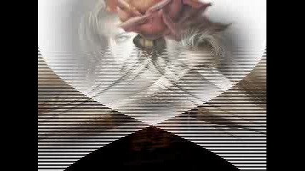 Chris De Burgh - Missing You