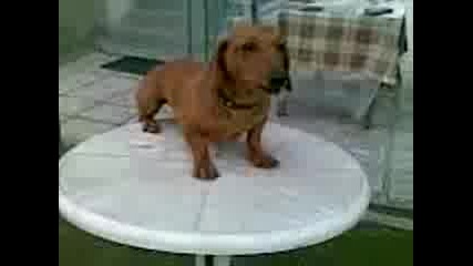 Video003.3gp