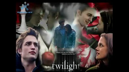 So What By Pink - Twilight