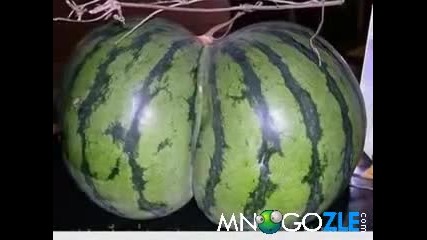 Забавни снимки от природата