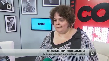 Над 100 котки от 40 породи ще се състезават на изложба в София