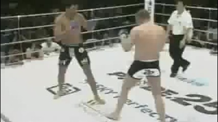 fedor emelianenko best mma 