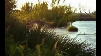 National Geographic Wild Surviving The Jungle Part 5/ 5 