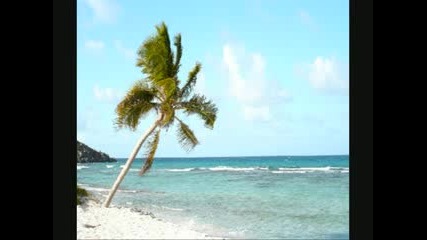 Atlantis Remix: Novacane Vs No One Driving - Playa Sol 