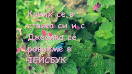 Error 1 епизод