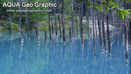 Blue Pond in Shirogane,biei,hokkaido