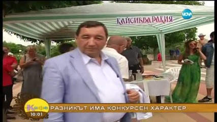 Празник на кайсията в Тутракан