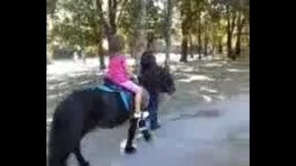 kalia na zoro