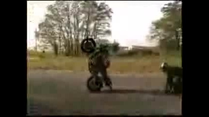 Салто С Мотор