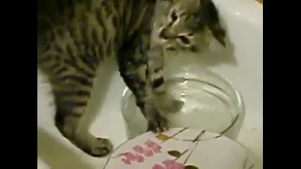 Добра помощничка!