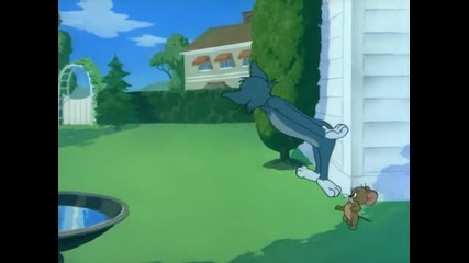 Tom & Jerry - The Dog House 