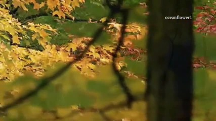 Какъв прекрасен свят 