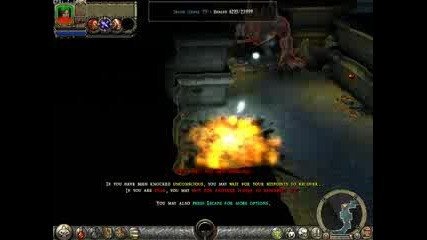 Dungeon Siege Ll Bug