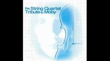 The String Quartet Tribute - Everything Is Wrong 