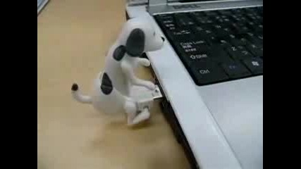 Usb Кученце