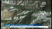 Първи сняг заваля в Югозападна България