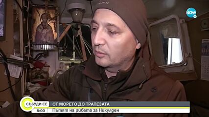 От морето до трапезата: Пътят на рибата за Никулден