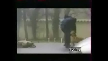 Полицейско Куче