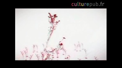 Symphony in red