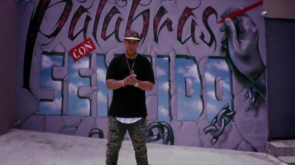 New! 2014 | Daddy Yankee - Palabras Con Sentido ( Официално Видео )