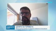 Цените на горивата: Какви са средните стойности на колонките