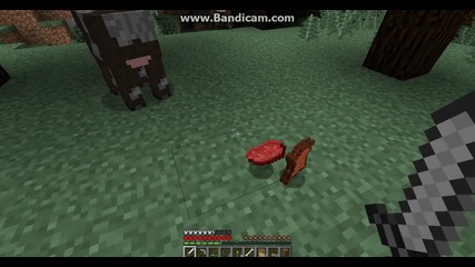 minecraft hardcore #9