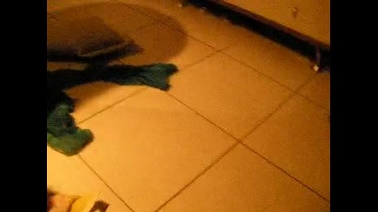 Смешно кученце