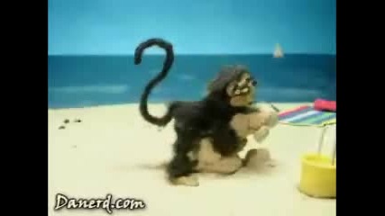 Fucking Sand Monkey