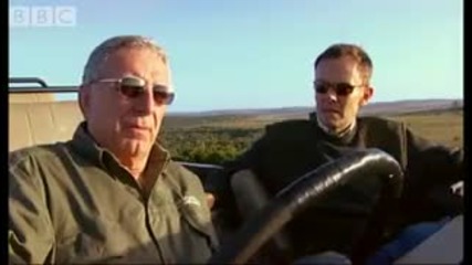 Wildlife Stories from South Africa - Moose in the Glen - Bbc 