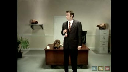 Chase - Molson Canadian