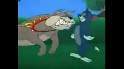 Tom And Jerry Parodiq