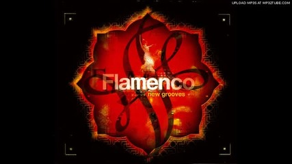 Flamenco-new Grooves - Andalusi Mood